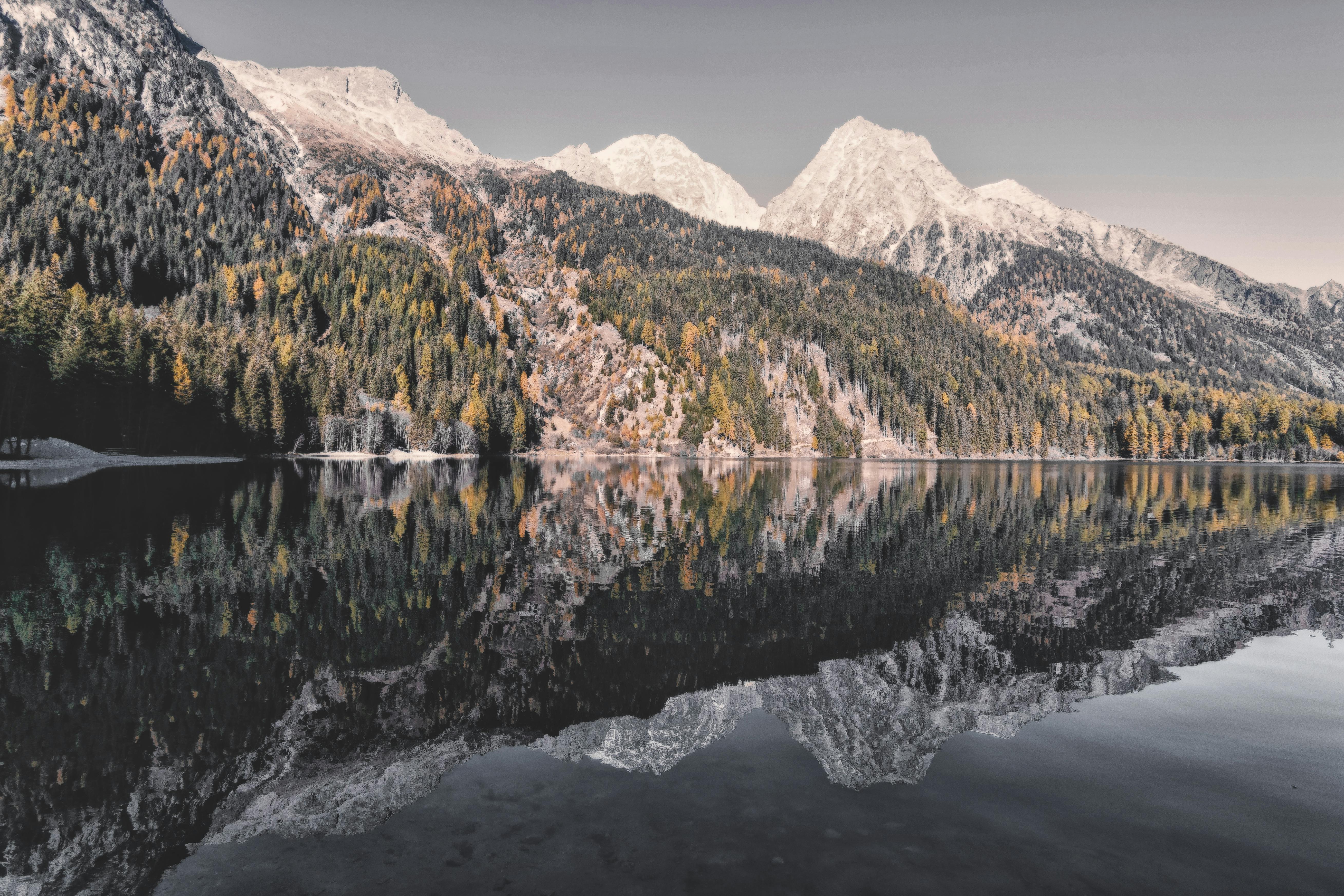 Free stock photo of glacier, snow, wood, landscape