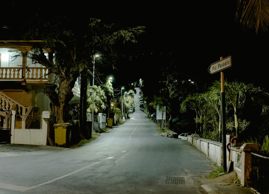 Empty asphalt roadway between streetlight and green trees on street with residential building and signpost in city at dusk time