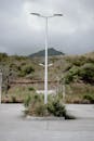 Street light pole with green shrub
