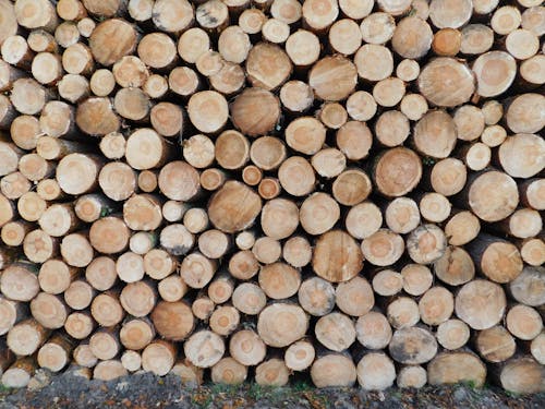 Ücretsiz arka fon, natürmort, yığılmış odun içeren Ücretsiz stok fotoğraf Stok Fotoğraflar