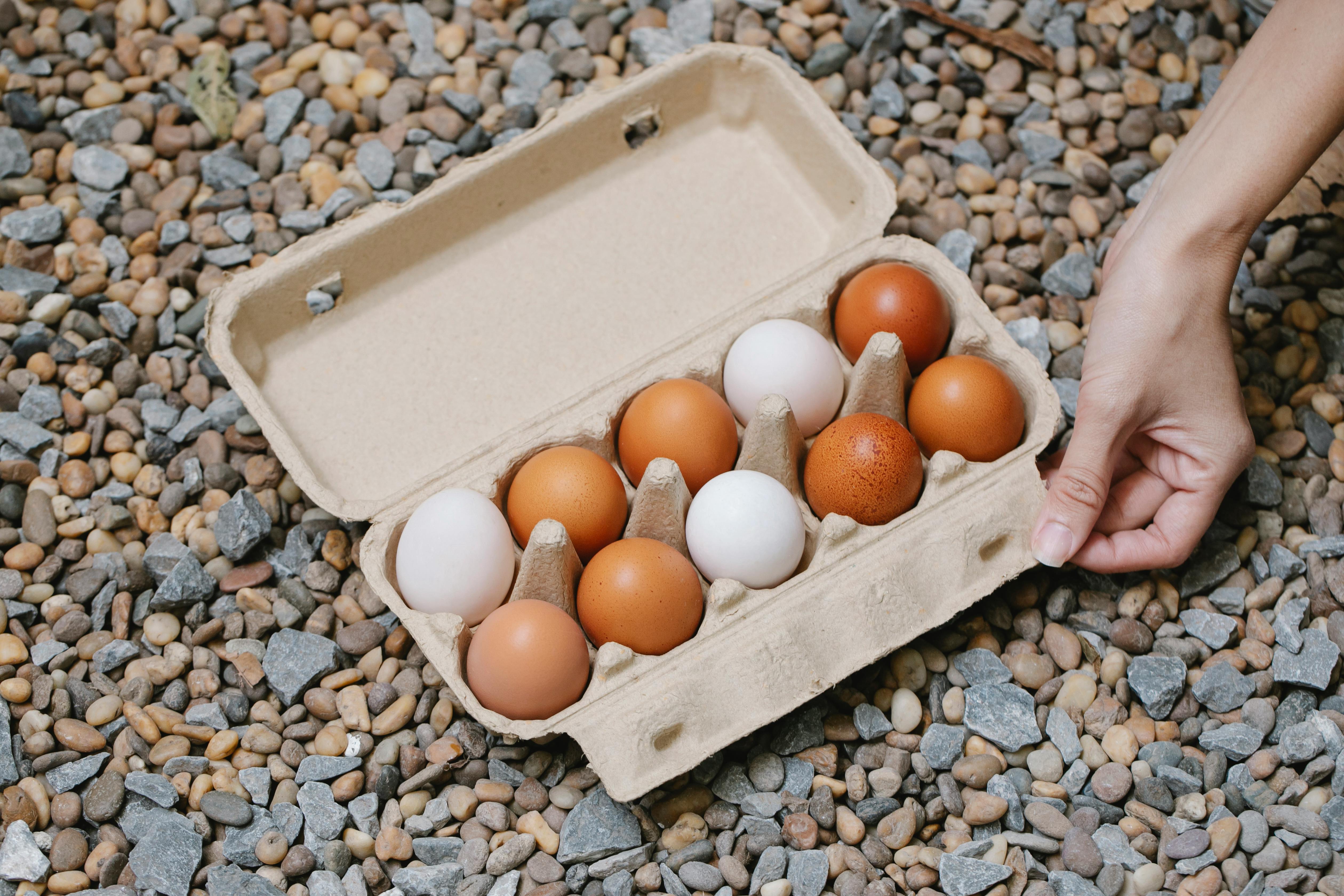 From above of crop anonymous female demonstrating fresh chicken eggs in carton box