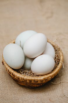 From above of clean white chicken eggs placed in wooden wicker bowl on textile
