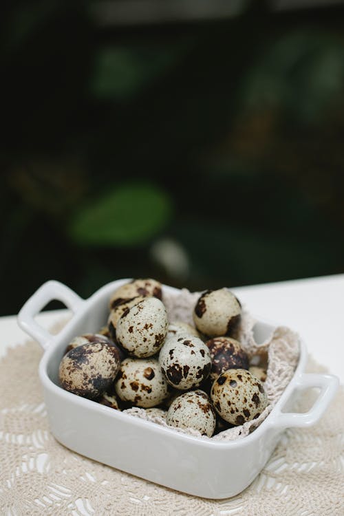 From above of little quail eggs with spots placed in white ceramic form on table on blurred background of greenery