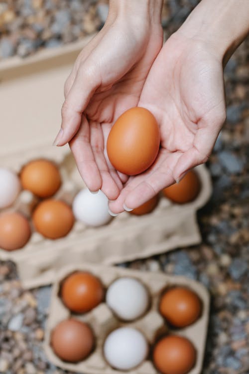 From above of crop anonymous female demonstrating fresh egg in hands near carton boxes on stone on blurred background
