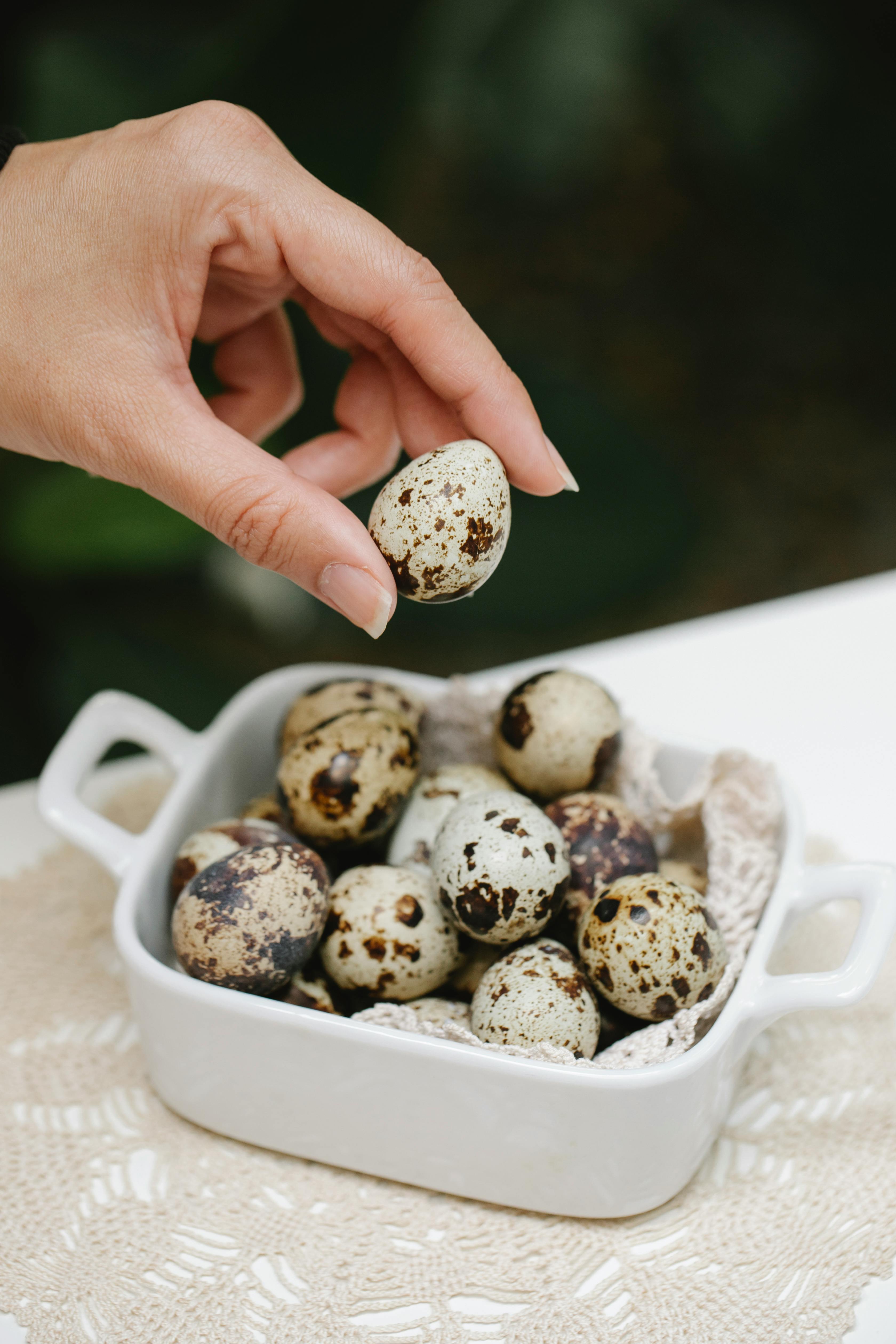 Photo by Klaus Nielsen