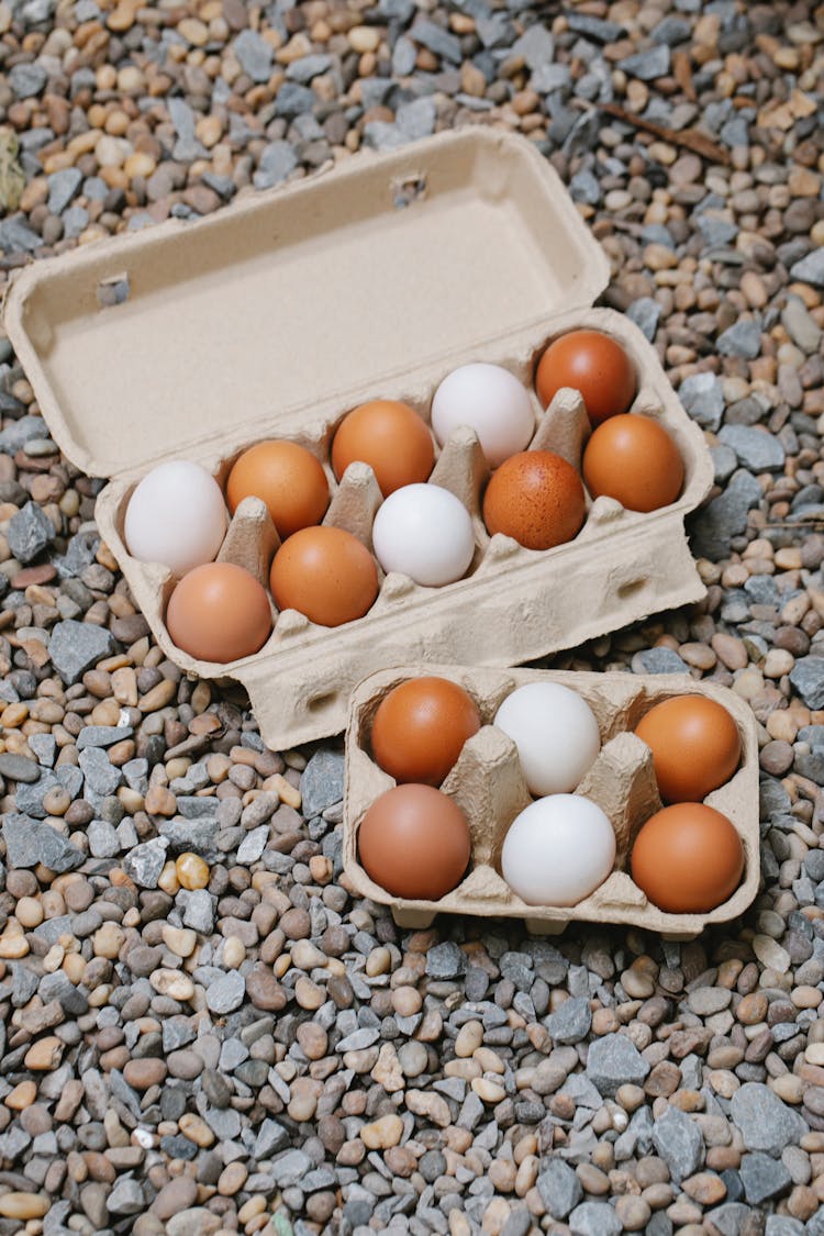 Chicken Brown And White Eggs In Carton Containers