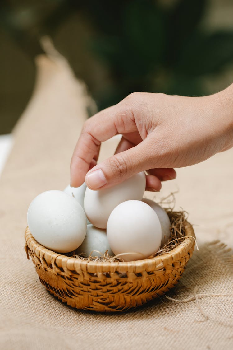 Woman Collecting Chicken Eggs In Wicker Bowl