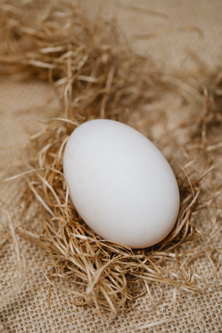 White Chicken Egg In Dry Hay On Table