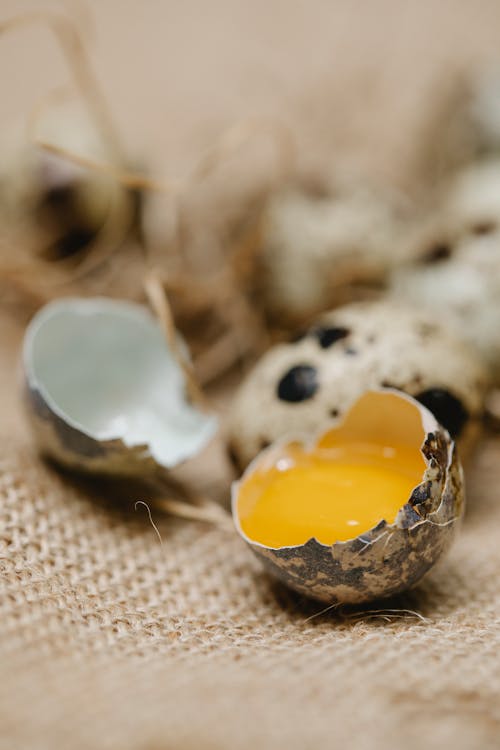 Broken quail egg with spots and yellow yolk on textured textile on table in soft focus