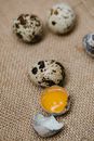Broken quail egg among whole eggs