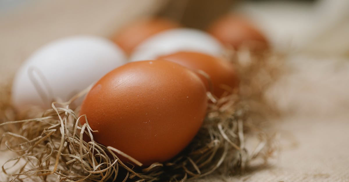 Fresh chicken eggs placed in straw on table with cloth in soft focus