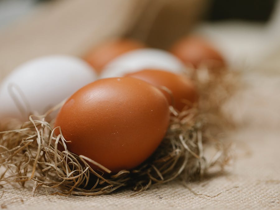 How many eggs for breakfast on keto?