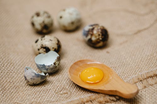 Free Bright yellow yolk of quail egg on wooden spoon Stock Photo