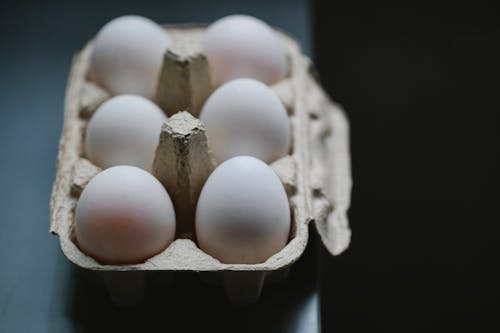 Free Set of chicken eggs in container Stock Photo