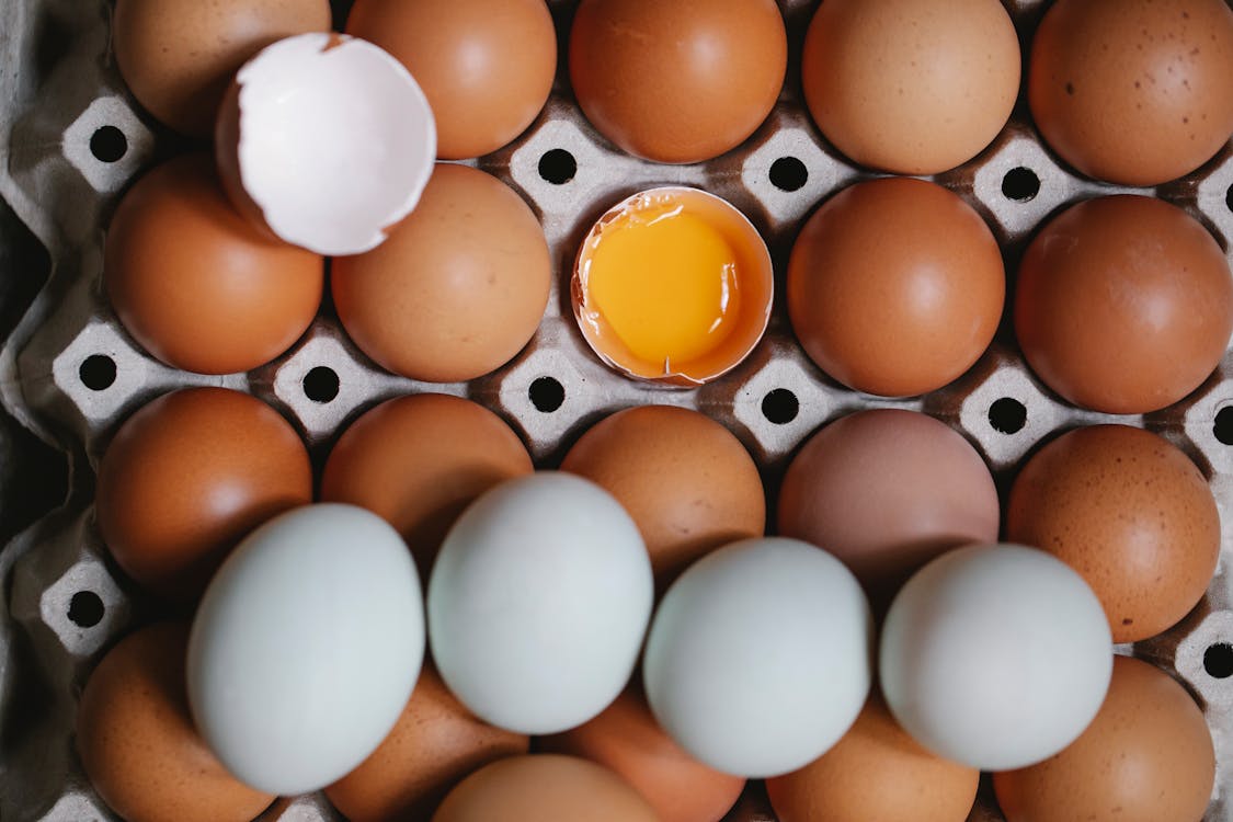 бесплатная Белые и коричневые яйца на подносе Стоковое фото