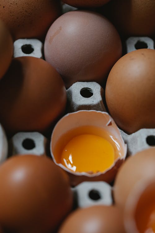 Free From above of whole and broken fresh raw brown chicken eggs arranged in carton box Stock Photo