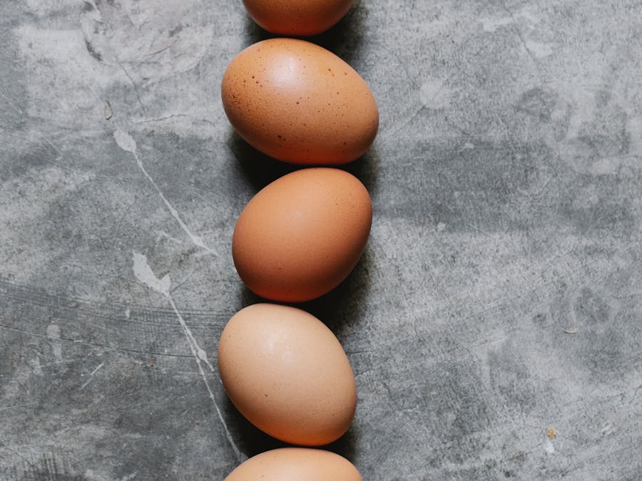 What is the 10 day egg diet?