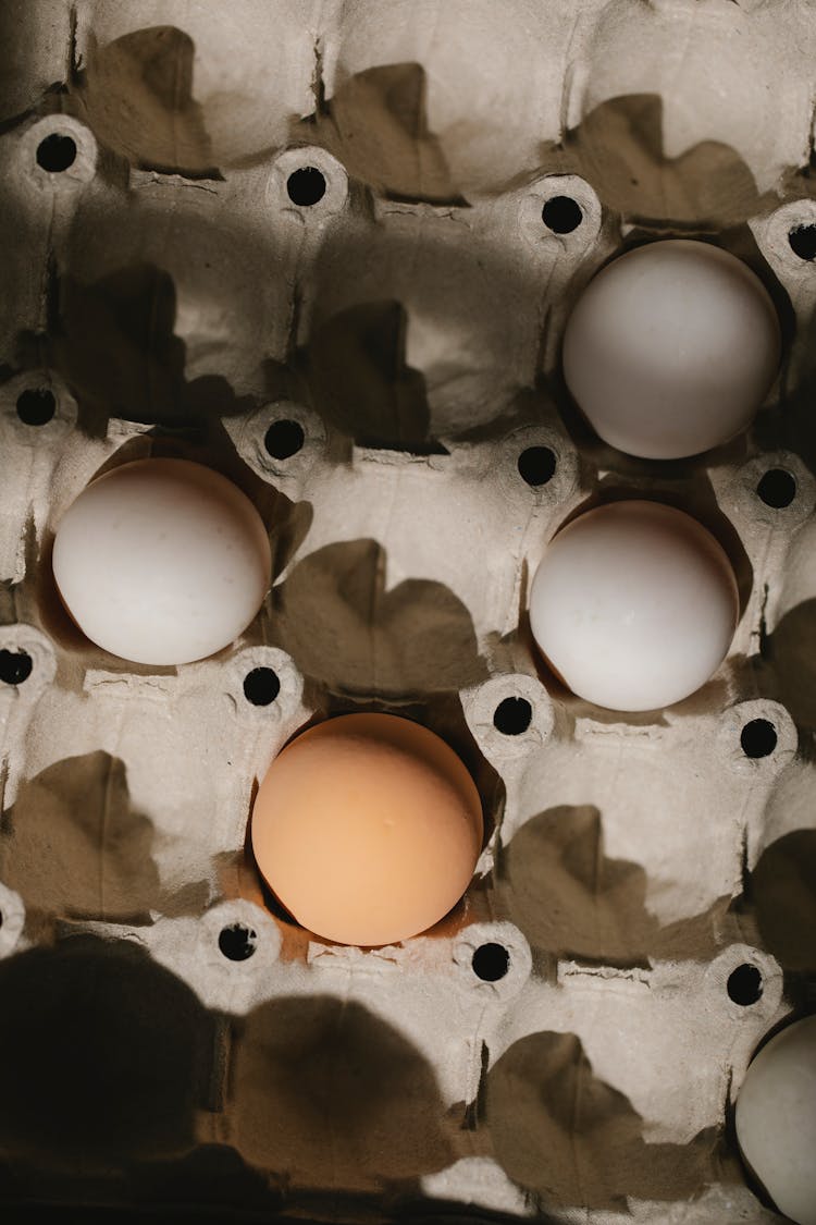 Carton Box With White And Brown Eggs In Farm