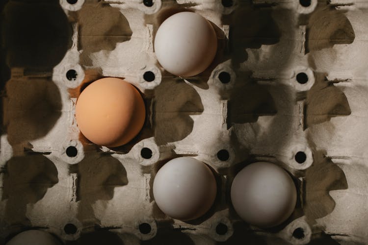 Assorted Chicken Eggs In Carton Box