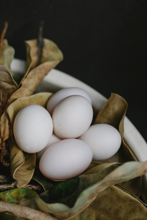 Heap of white eggs composed with dry leaves in bowl