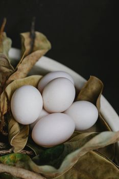 Egg, Whole, Dried