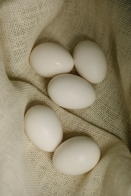 Free Top view of fresh organic white chicken eggs placed on cotton sack in kitchen Stock Photo