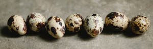 Uncooked tasty quail eggs on table in daylight