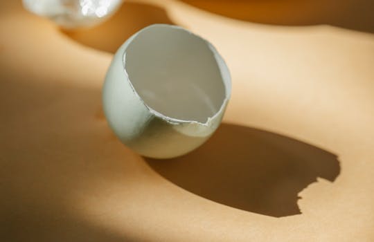A close-up of a broken eggshell on a sunlit surface, with soft shadows, evoking simplicity and fragility.