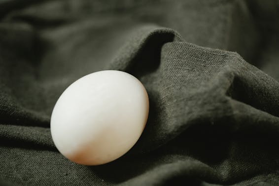 Composition of organic white chicken egg placed on black soft textile in bright light