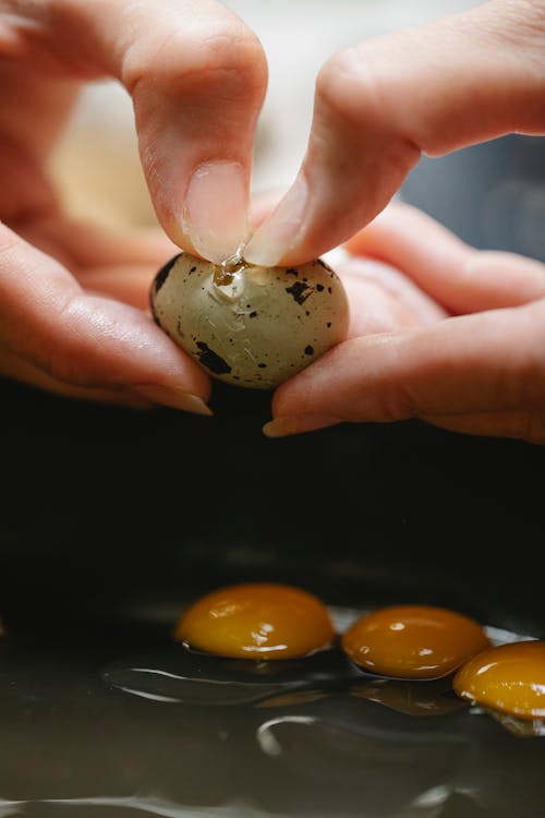 Free Unrecognizable female adding small spotted quail egg into black metal frying pan while cooking breakfast in kitchen on blurred background Stock Photo