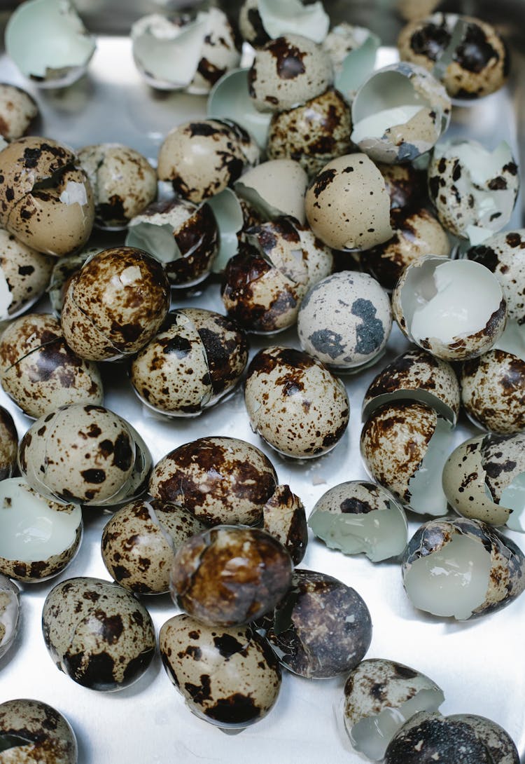 Quail Eggs In Shell On White Surface