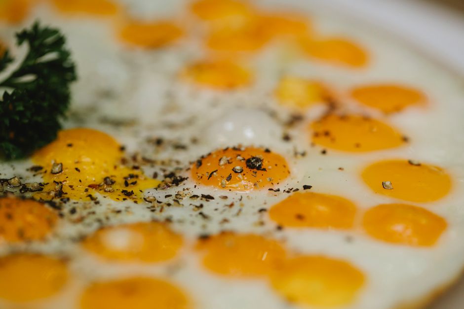Building a Healthy Plate: Your Ultimate Guide to Portion Control