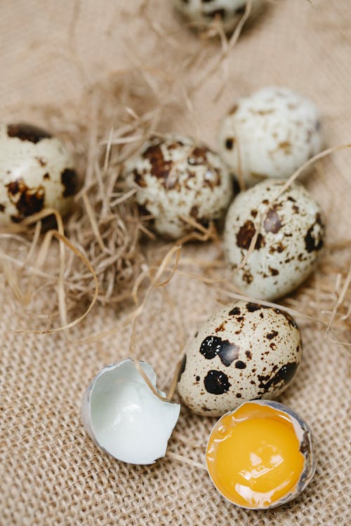 Quail eggs with hay on sackcloth