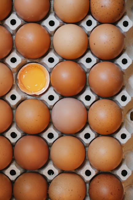 Differentiating Your Brand from Competitors