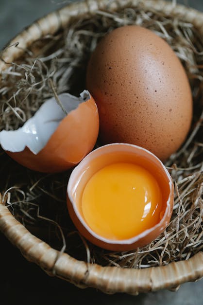 How does chicken egg fertilize
