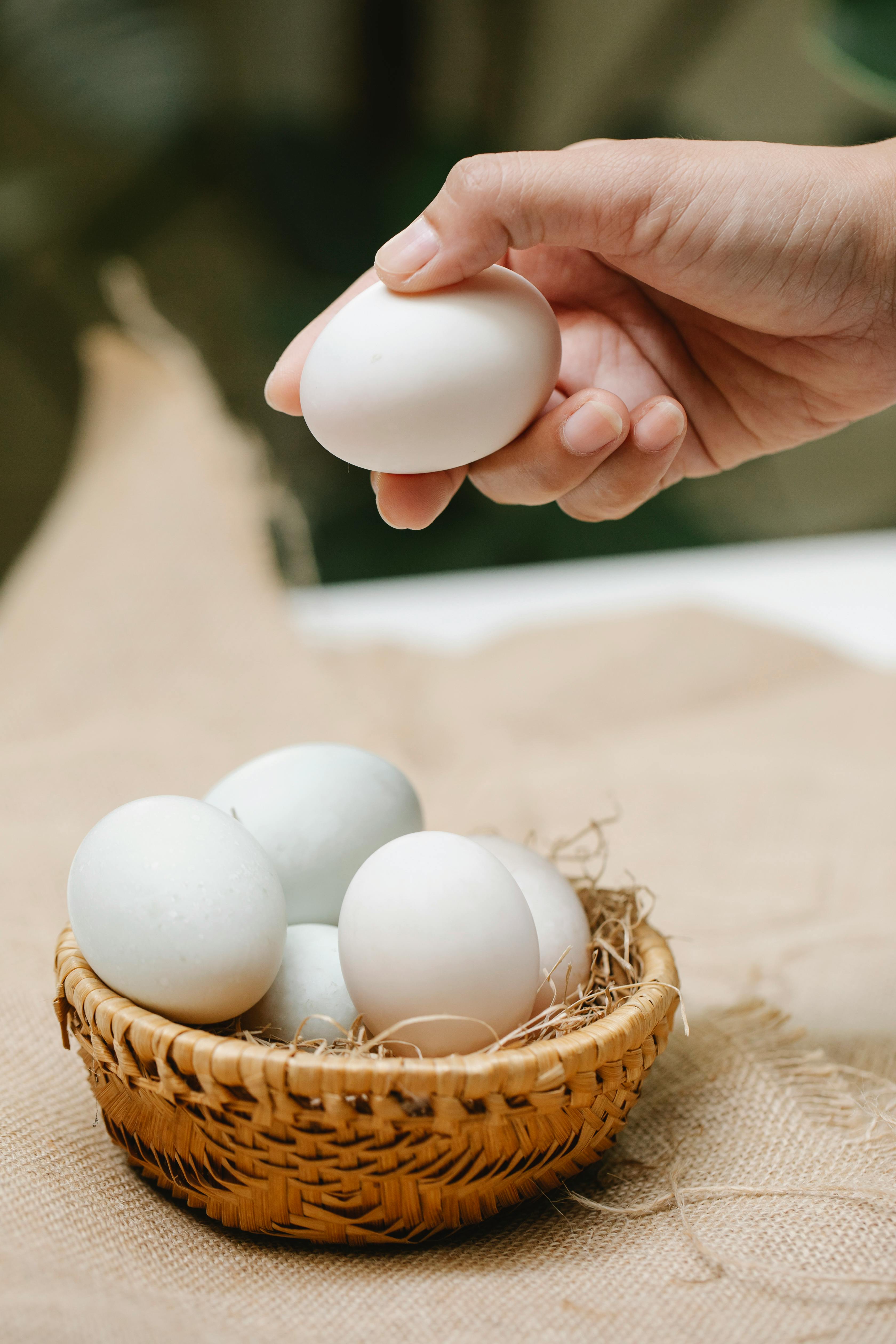 What happens if I eat only egg for a week?