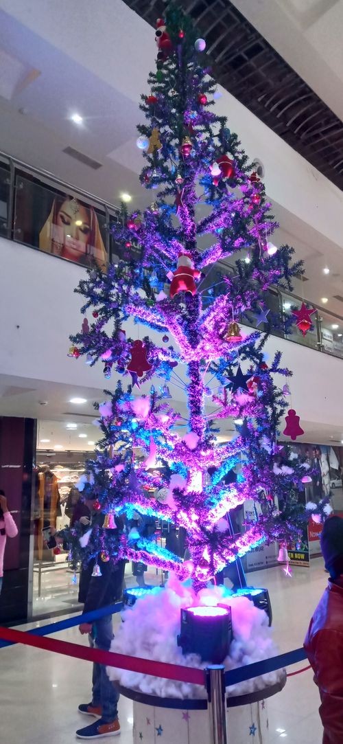 Free stock photo of christmas tree, xmas tree Stock Photo