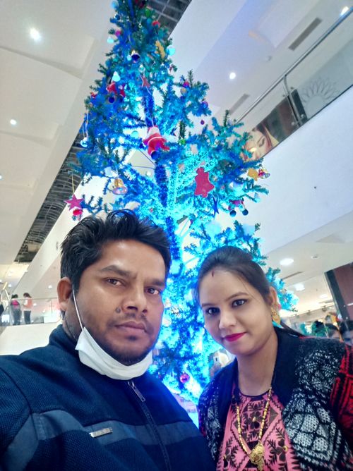 Free stock photo of christmas tree, husband and wife, xmas tree Stock Photo