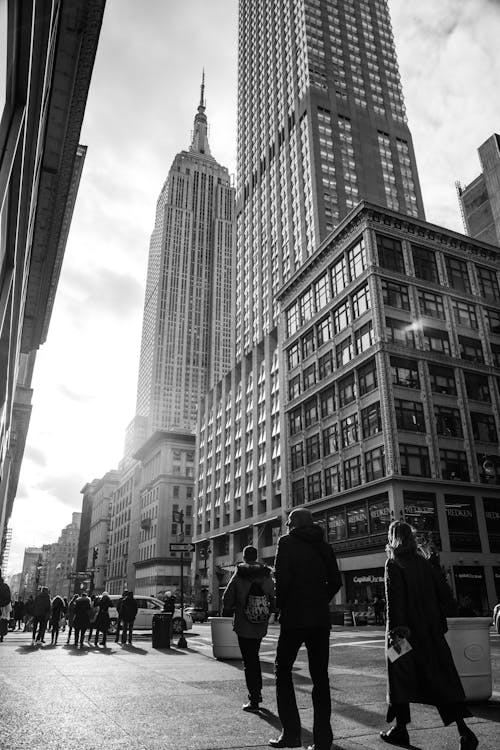 Imagine de stoc gratuită din centrul orașului, clădiri, Empire State Building