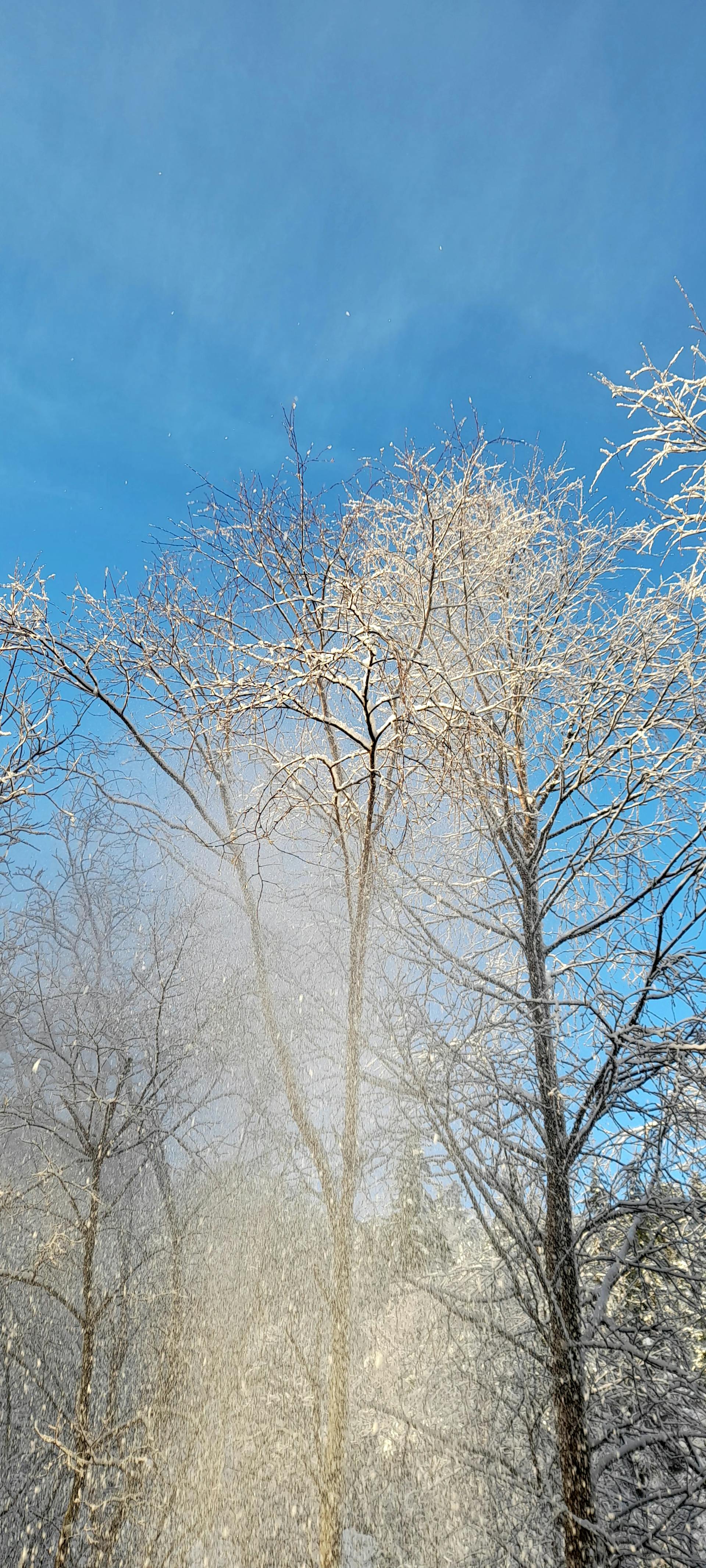 Nutrition sport de combat