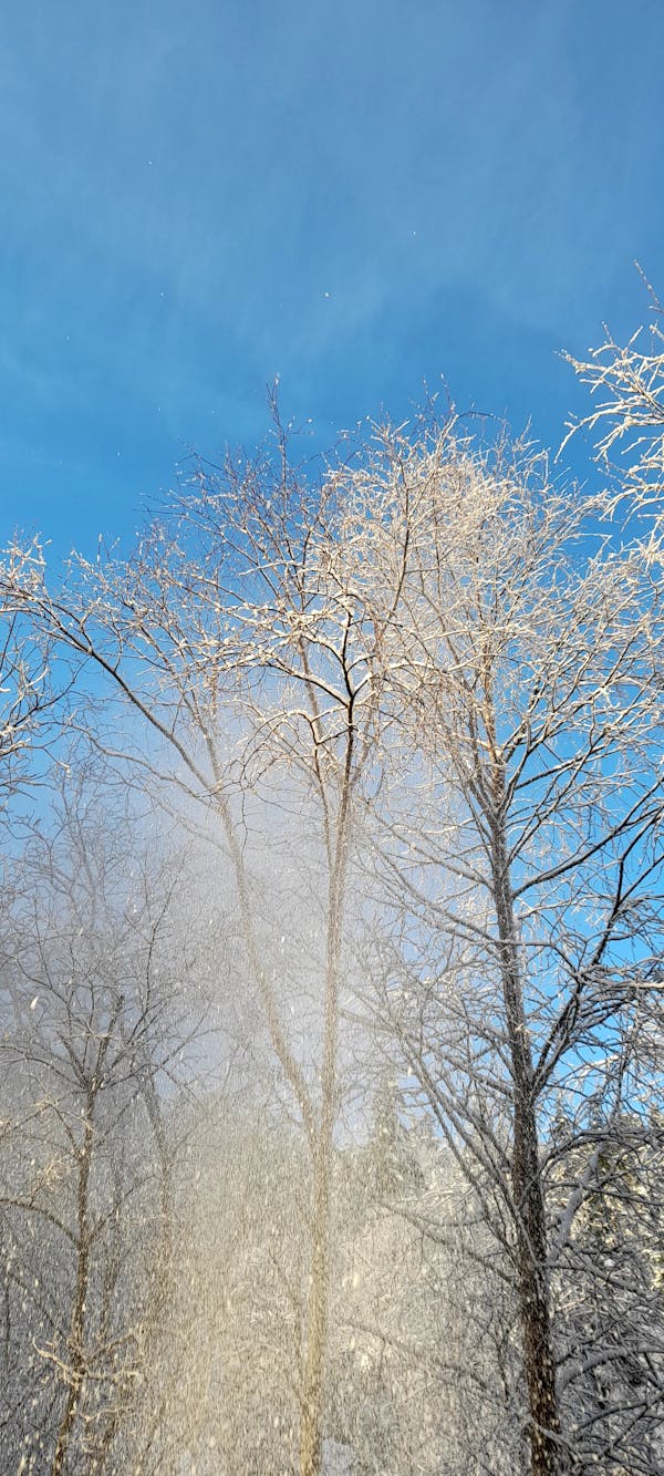 Protégé-Pieds Kickboxing Metal Boxe