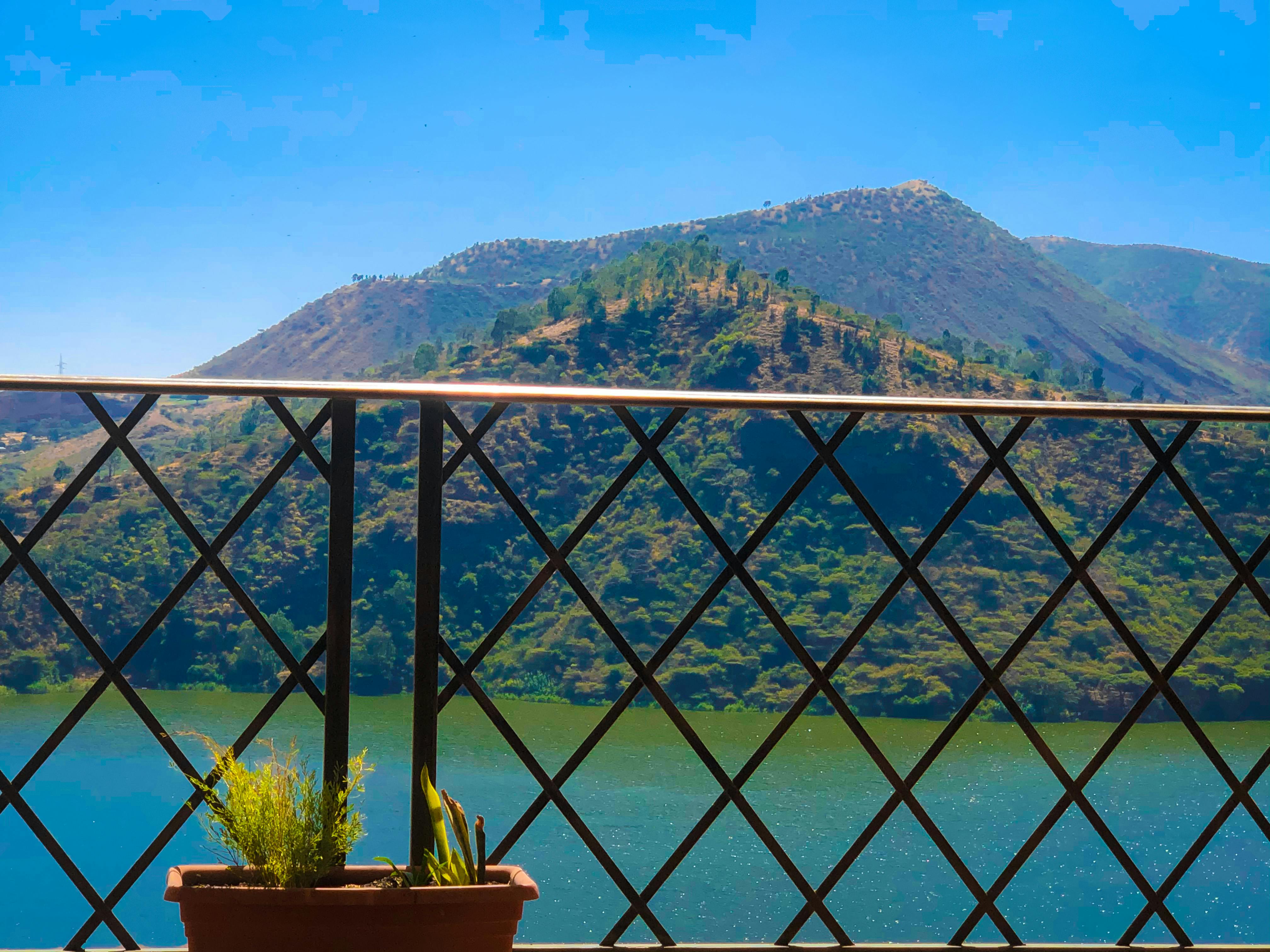 Alex Pereira : L'histoire incroyable du champion qui a dominé 3 sports différents