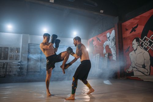 Free Two athletes engaged in an intense MMA sparring session inside a gym with striking wall art. Stock Photo