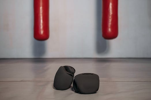 Black boxing gloves and red punching bags create a minimalist fitness ambience.