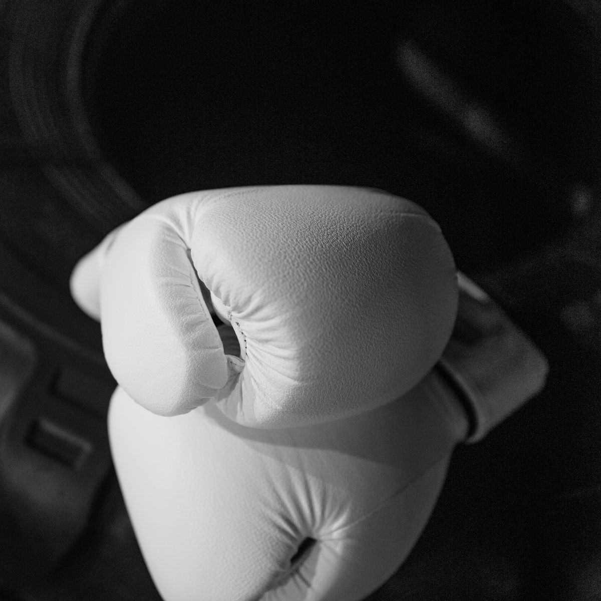 SF Heavy Bag Pro 150