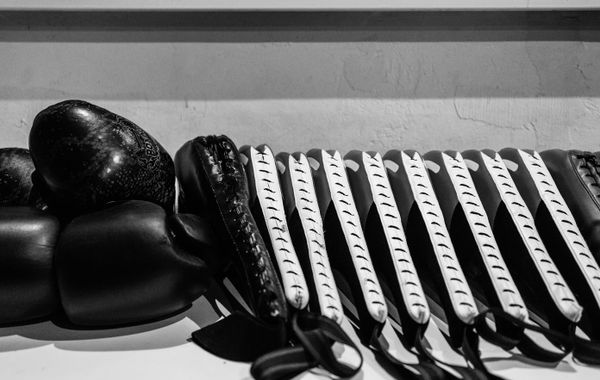 Gants de boxe et pattes d'ours poses en salle