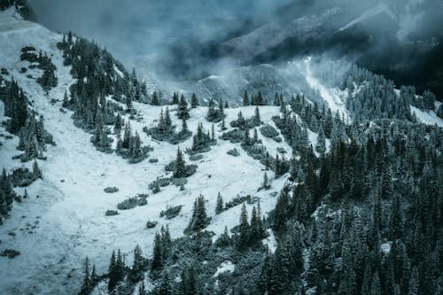 Aerial View of a Landscape