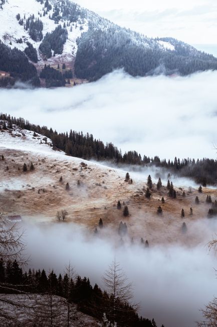 A serene misty mountain landscape with fog enveloping snowy peaks and forests.