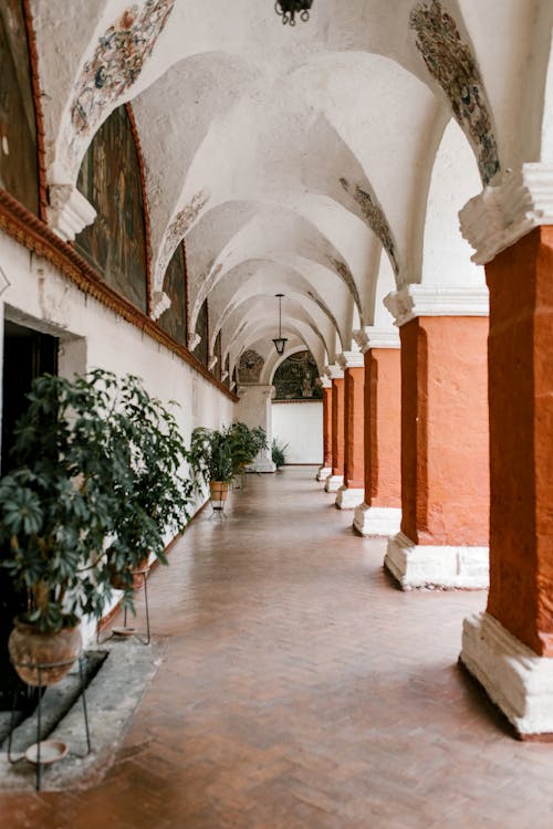 Gallery of old building hall decorated with green plants in pots and arched passage with stone columns in daylight