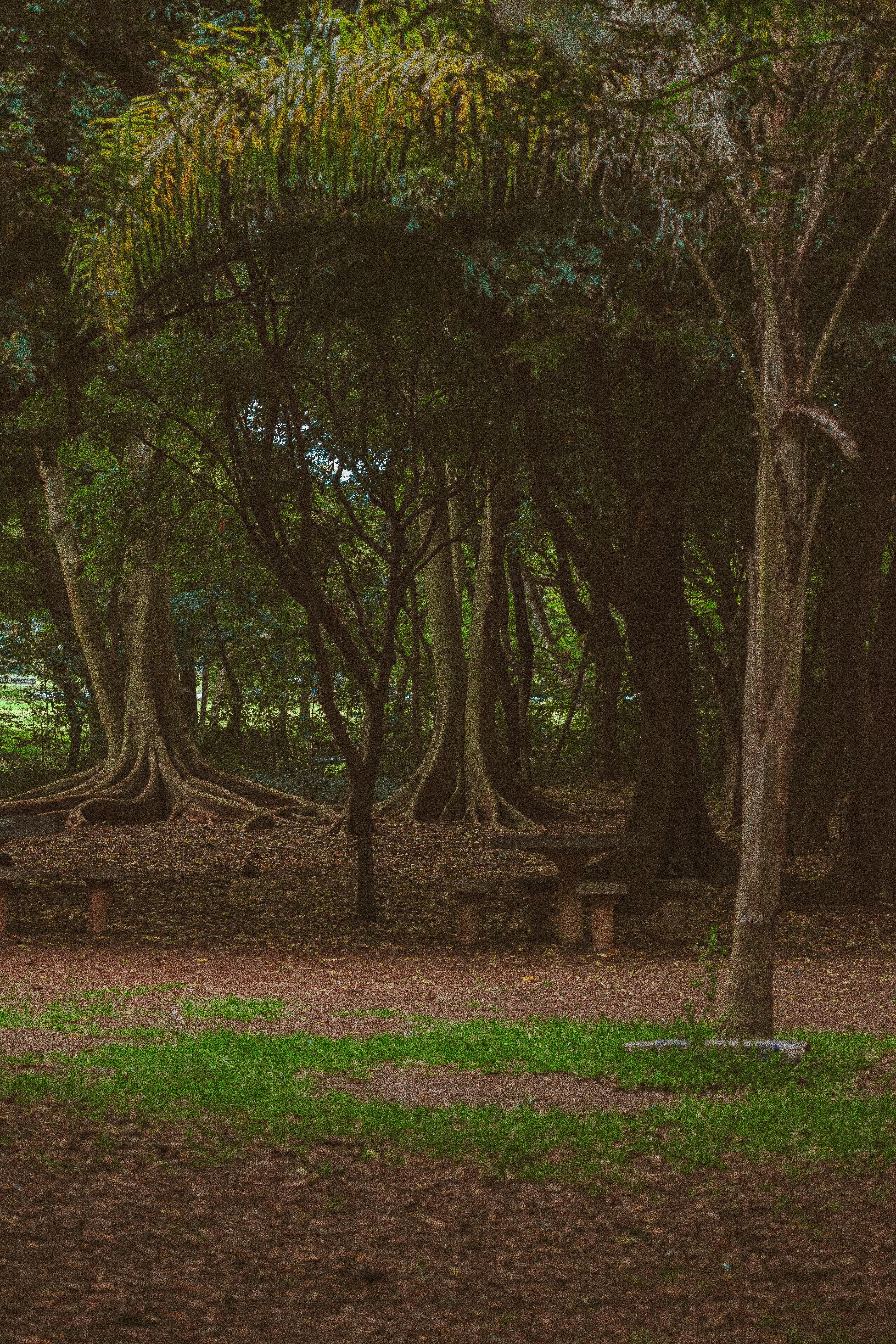 Photo by Lucas Pezeta